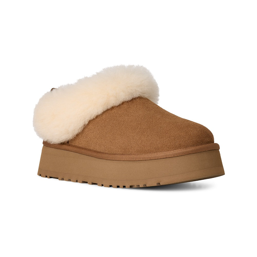 Tazzelle (Chestnut) front side