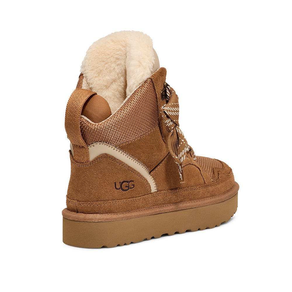 Highmel (Chestnut) back