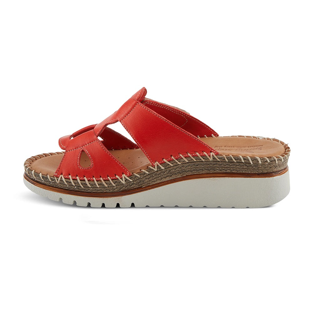 Montera	(Red) other side
