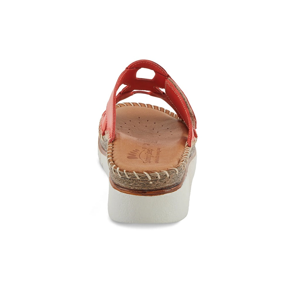 Montera	(Red) back