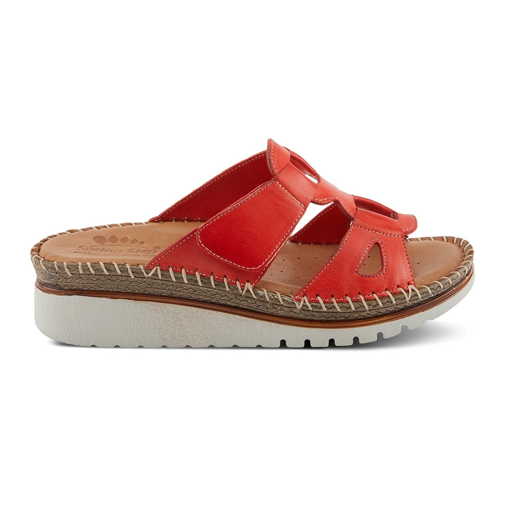 Montera	(Red) side