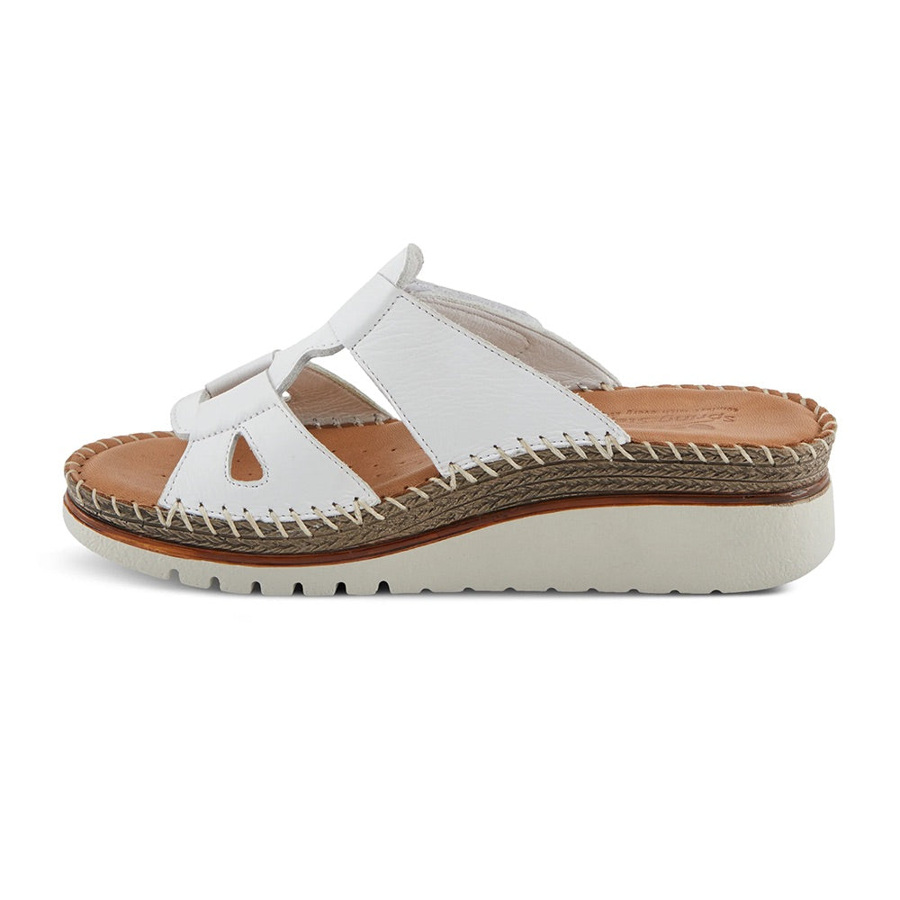 Montera	(White) other side