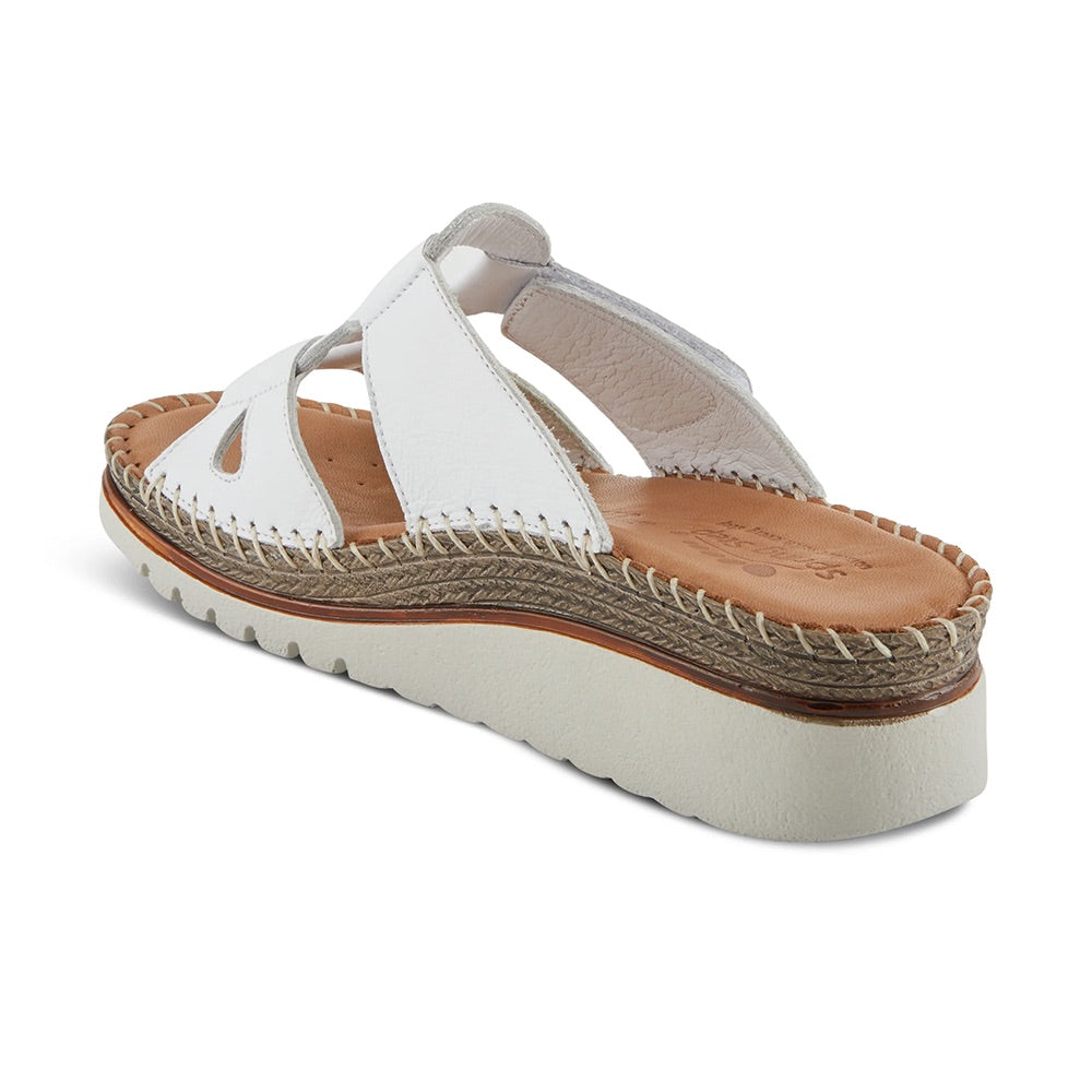Montera	(White) back side