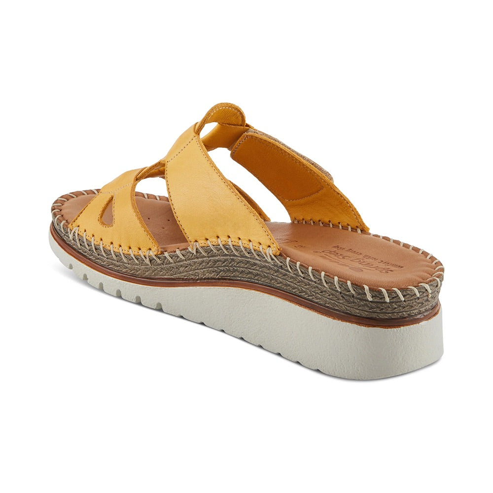 Montera	(Yellow) back side